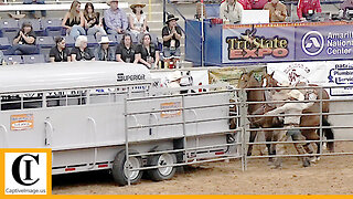 Trailer Loading - 2023 Coors Cowboy Club Ranch Rodeo | Thursday