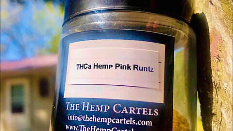 THCA PINK RUNTZ HEMP CARTELS// LIFESTYLE-15% #thca #pink #runtz #flower