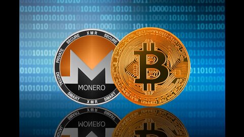 Monero vs. Bitcoin: Which is the True King of Privacy?