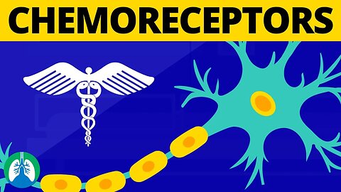 Chemoreceptors (Medical Definition) | Physiology of Breathing