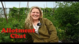 Come Chat With me: Allotment Garden