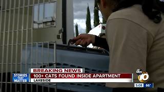 100+ cats found inside Lakeside apartment unit