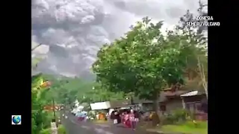 New Pompeii in Indonesia: Semeru volcano unleashes pyroclastic flows on settlements