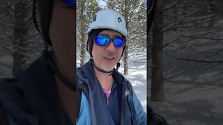 Ski Skinning Backcountry Skiing in the Trees #shorts #skiing