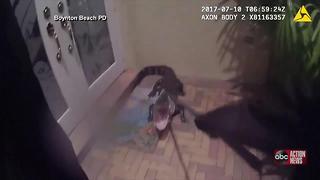 WATCH | Police officer rescues gator from front porch, returns it to water