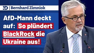 𝐁𝐞𝐫𝐧𝐡𝐚𝐫𝐝 𝐙𝐢𝐦𝐧𝐢𝐨𝐤 ▶️ AfD-Mann deckt auf: So plündert BlackRock die Ukraine aus!@AfD im EU-Parlament🙈