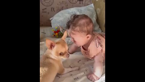 Only i can understand you #cutebaby #cutepet #cutepuppy #puppy #puppylove