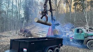 Logging Like It’s The 1800s! Horses Harvesting White Oak