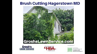 Brush Cutting Hagerstown MD Landscaping Contractor