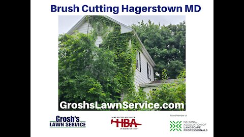 Brush Cutting Hagerstown MD Landscaping Contractor