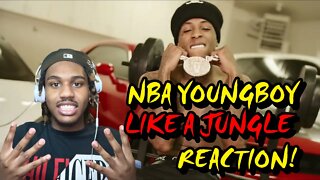 NBA YOUNGBOY IS THE GOAT! | NBA Youngboy - Like A Jungle (Out Numbered) Official Video REACTION!