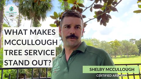 7 Reasons Why McCullough Tree Service Is the Best in Orlando, Florida