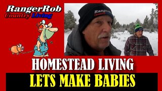 Let's Make Babies on The Homestead