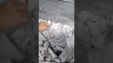 A CAT BEING SAVED IN THE MIDDLE OF RUBBLE AFTER ISRAELI IOF BOMBING