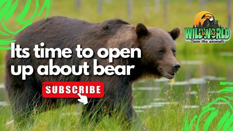 its time to open up about bear