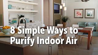 8 Simple Ways to Purify Indoor Air