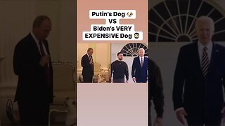 Only Biden can afford a dog worth Billions of dollars 💵 #ukraineconflict