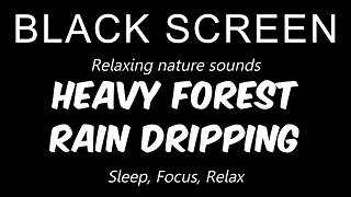 HEAVY Forest RAIN Dripping | 10 Hours | Sleep, relax, focus