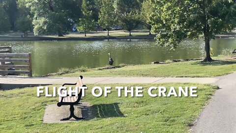 Flight Of The Crane