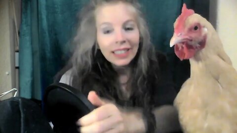 Bird Talk: My Pet Hen