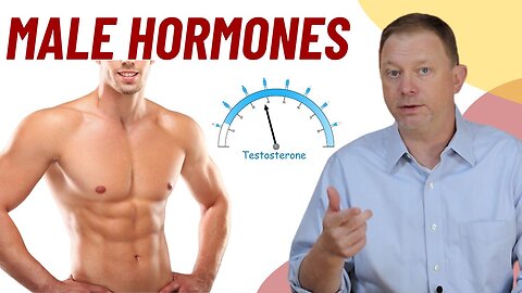 Male Hormones - What do you need to know