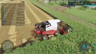 Harvesting Wheat - No Mans Land - Episode 6- Farming Simulator 22 Timelapse