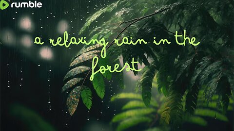 Meditate and relax to the sound of the rain