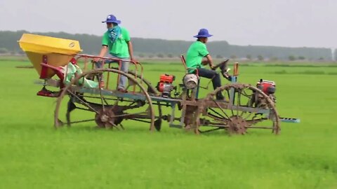 ការបាច់ជី​បែបទំនើប