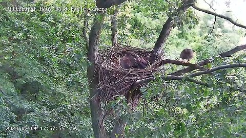 Hays Eagles Mom delivers a Fish H19 claims it 7.4.23 17:56