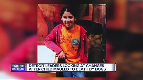 Detroit leaders looking at changes after child mauled to death by dogs