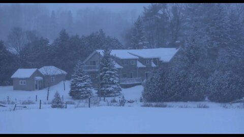 Blizzard Storm Sounds | Heavy Wind & Snow | 10 Hours