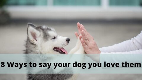 8 Ways To Say Your Dog You Love Them