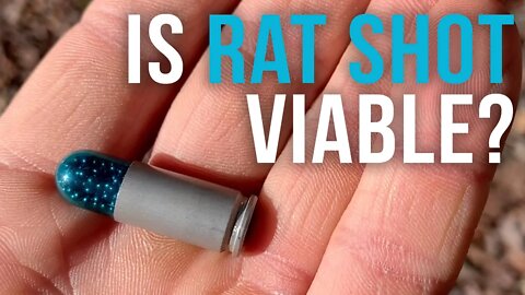 Is Rat Shot Viable for Self Defense?