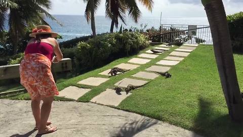 Woman Surrounded By Lizards