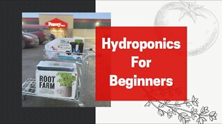 Hydroponics For Absolute Beginners! Gardening Indoors & Constant Food Supplies During The Winter