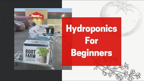 Hydroponics For Absolute Beginners! Gardening Indoors & Constant Food Supplies During The Winter