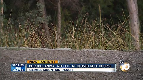 possible animal neglect at closed golf course