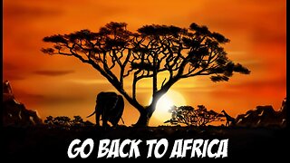 I'm Going Back To Africa !