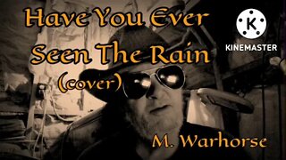 Have You Ever Seen The Rain (cover)