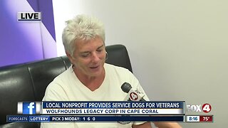Local nonprofit rescues, trains service dogs to pair with U.S. veterans