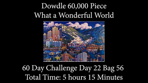 60,000 Piece Challenge What a Wonderful World Jigsaw Puzzle Time Lapse - Day 22 Bag 56!