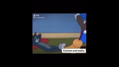 Funny Real Life Tom and Jerry