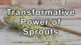 The Transformative Power of Sprouts: A Journey to Health and Sustainability