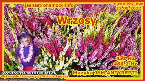 Wrzosy - Wykonanie i kompozycja Władca Lehji Sanjaya Muzyka JSM ANTYREPTI