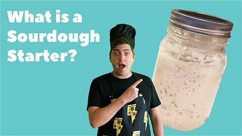 What is a sourdough starter? (Wild Sourdough)