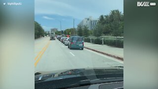 Vehicles form giant queue for COVID-19 tests in Miami