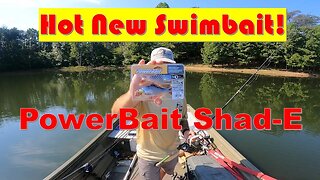 Hot! New Swim Bait, Berkley PowerBait Shad-E