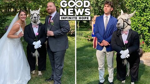 GOOD NEWS - Infinite Hope # 142