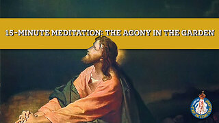 First Saturday 15-Minute Meditation | First Sorrowful Mystery: The Agony in the Garden