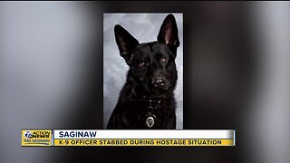 Police K-9 stabbed during hostage situation in Saginaw